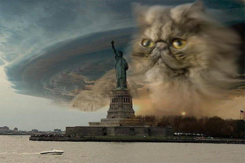 Sandy-12-jpg-1352087438_500x0.jpg